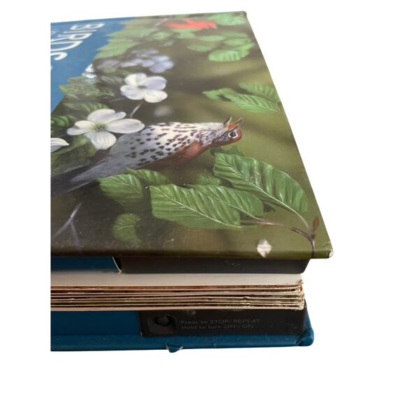 Birdscapes Pop Up Book Celebration of Bird Songs in Stereo M. Chu & Cornell Labs - Picture 5 of 14